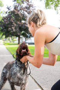 Cannabis Transdermal Patches Recover