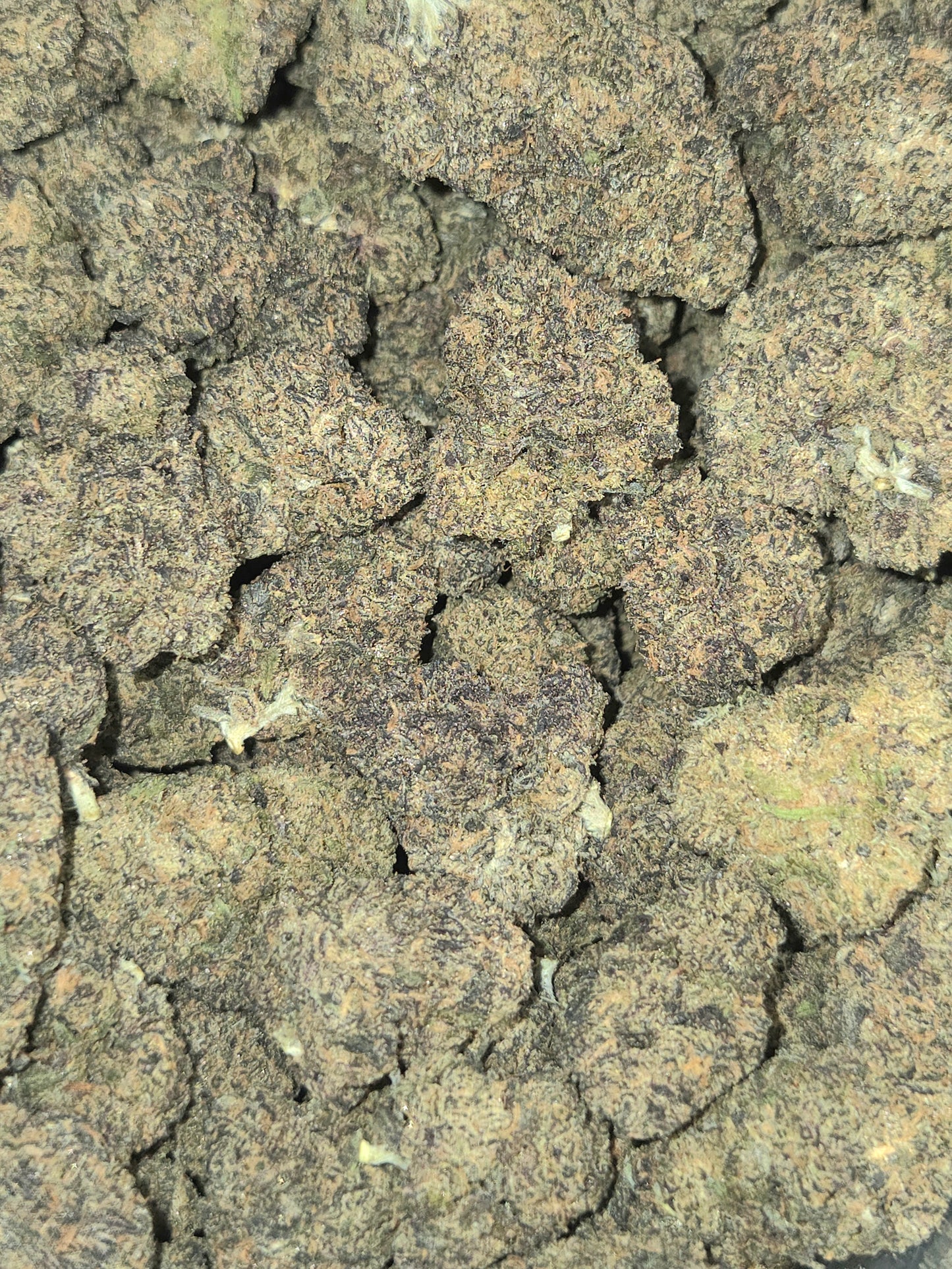 Cannabis Flower Pink Runtz - 23.87% THCa
